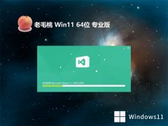 老毛桃win11精致分享版64位v2024.03