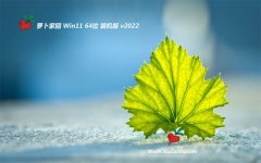 新萝卜家园win11免激活64位中文极速版v2022.10