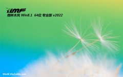 雨林木风win8.1最新64位光速通用版v2021.12